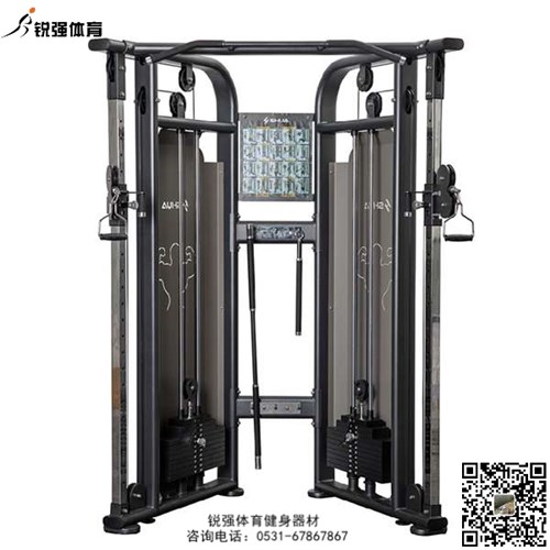 大飛鳥(niǎo)綜合訓練器